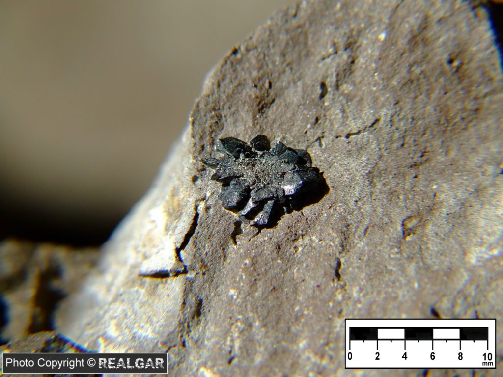 Częstochowa minerały