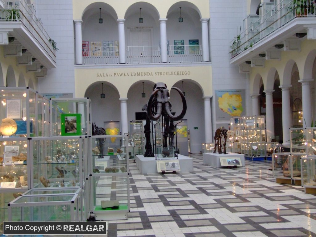 muzeum geologiczne warszawa