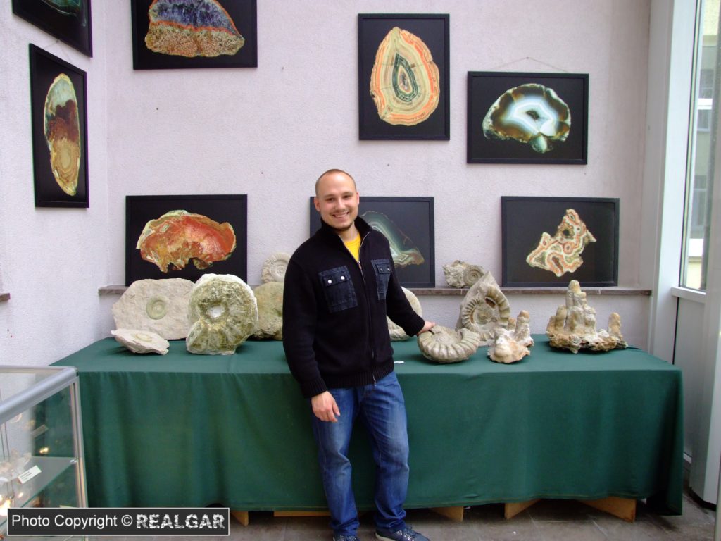 muzeum geologiczne agh