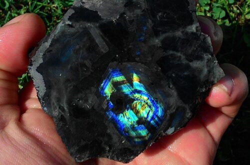 ukraina zasoby naturalne