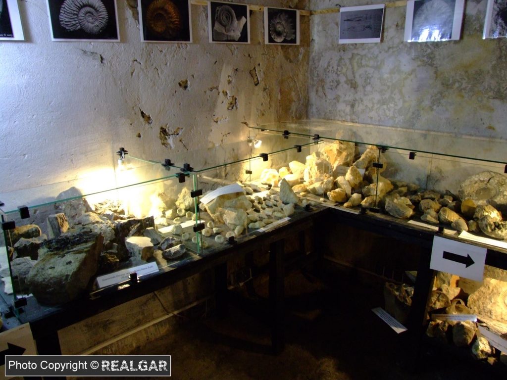 Muzeum Żarki Amonity
