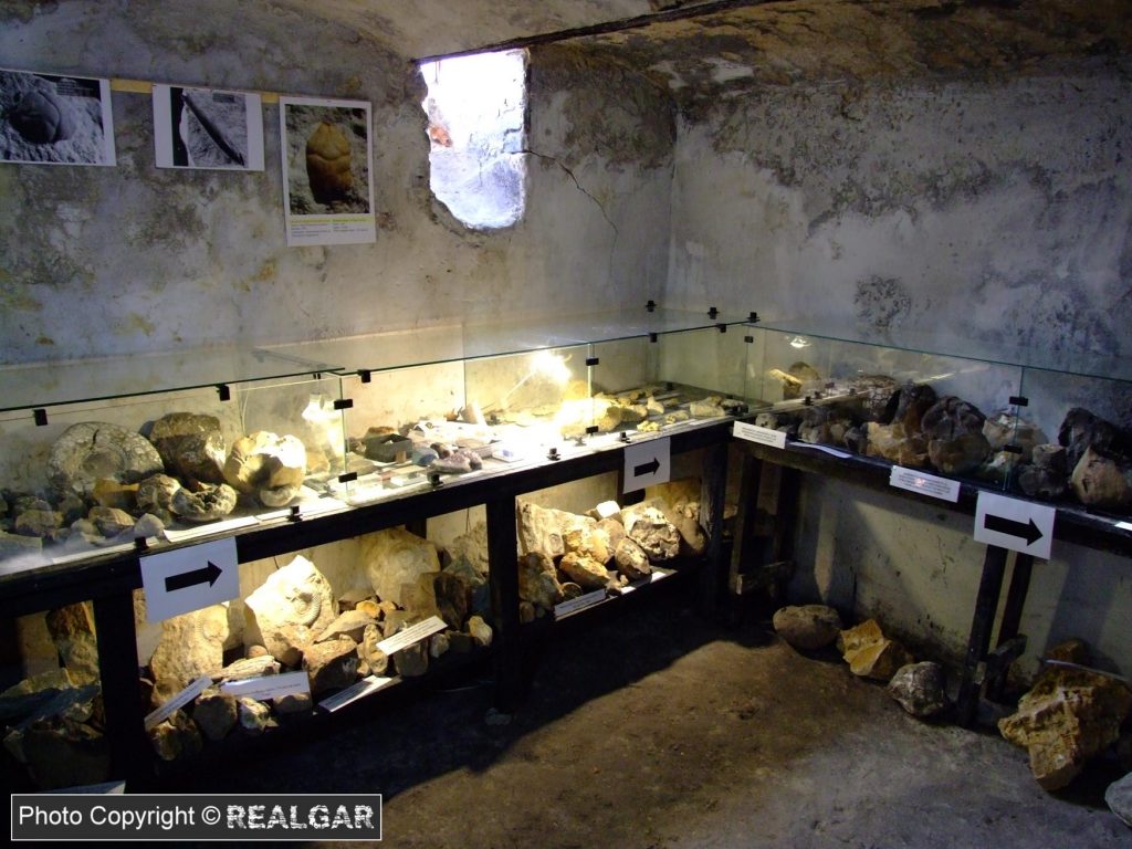 Muzeum Żarki Amonity