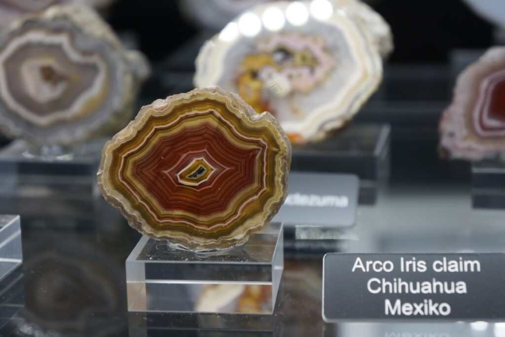 agate chihuahua