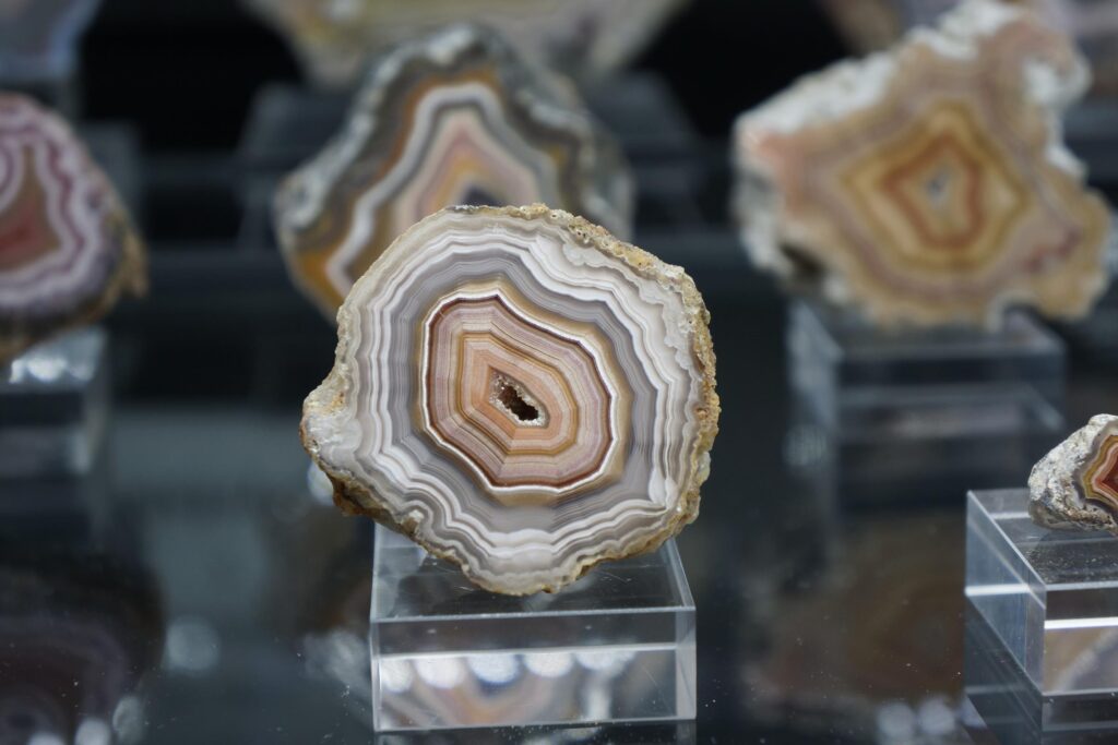 agates hannes holzmann