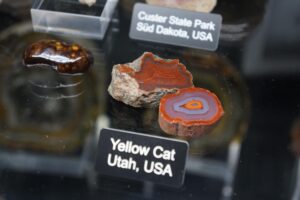 yellow cat agate