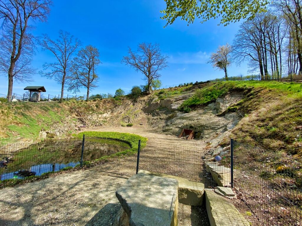 arboretum wojsławice