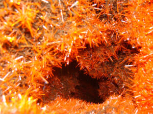 crocoite adelaide