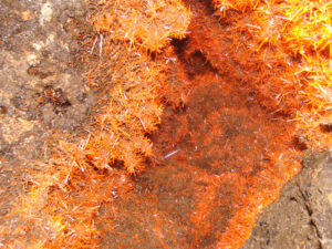 crocoite adelaide