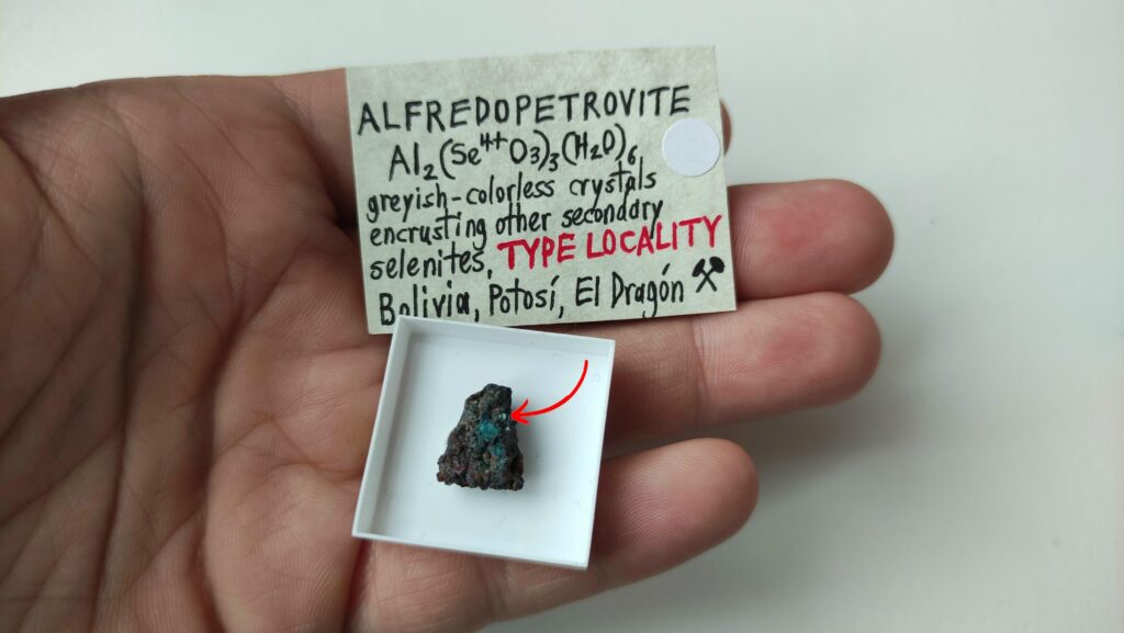 alfredopetrovite