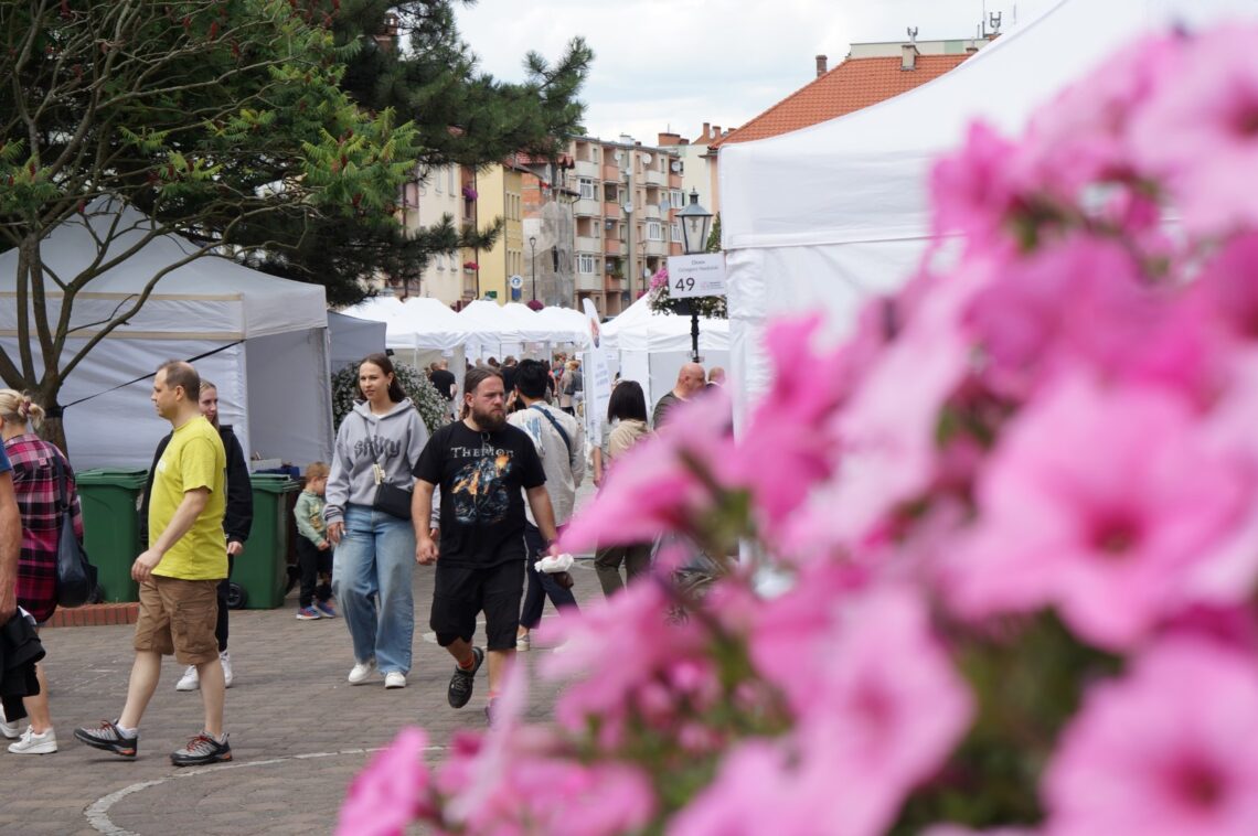 Sudecki Festiwal Minerałów 2024