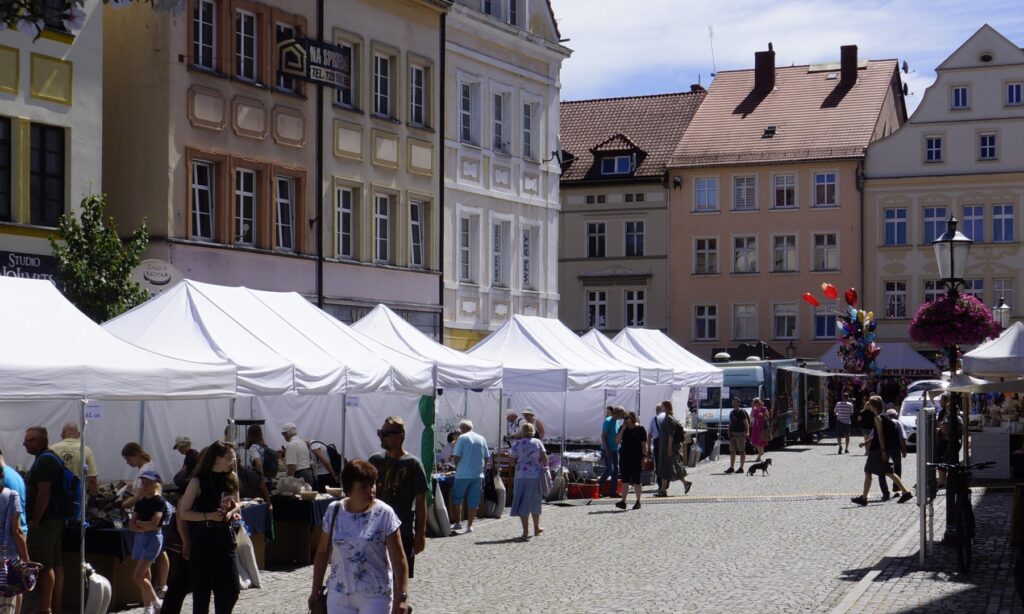 Festiwal Minerałów 2024