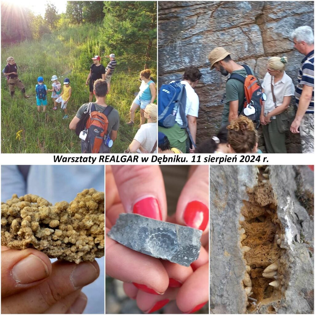 warsztaty geologiczne dębnik