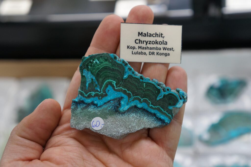 chrysocolla mashamba