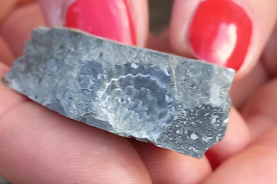 Poszukiwania kamieni minerałów warsztaty geologiczne w Dębniku