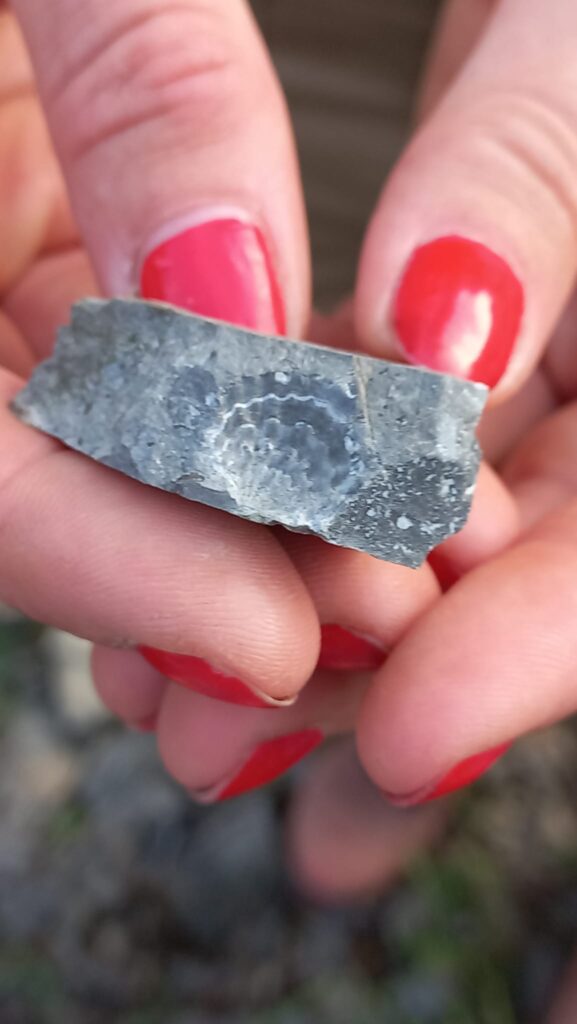 Poszukiwania kamieni minerałów warsztaty geologiczne w Dębniku