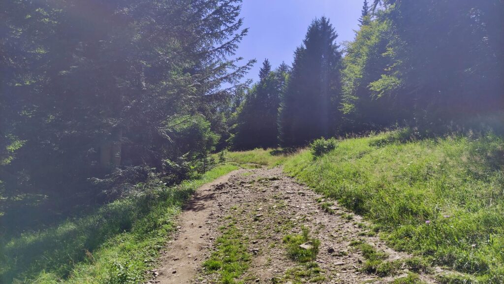 suchy groń z dziećmi