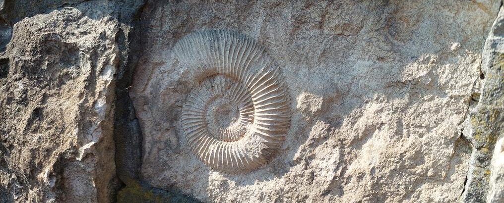 Warsztaty geologiczne Kraków Małopolska