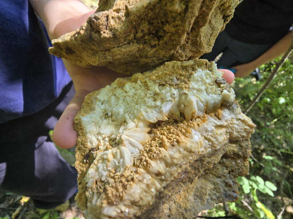 zbieranie kamieni