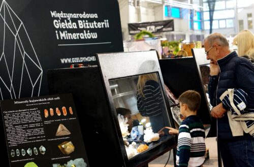 Minerały kujawskich złóż soli