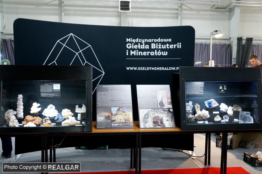 Minerały kujawskich złóż soli