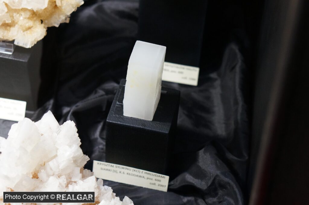 Minerały kujawskich złóż soli