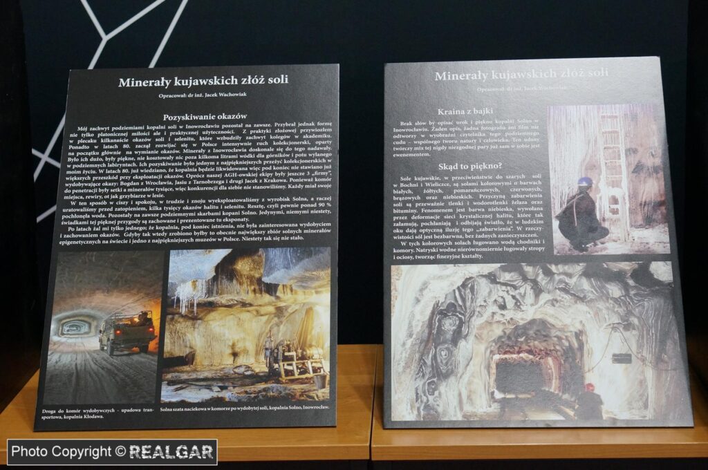 Minerały kujawskich złóż soli
