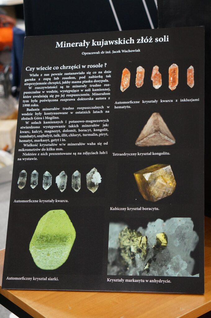 Minerały kujawskich złóż soli