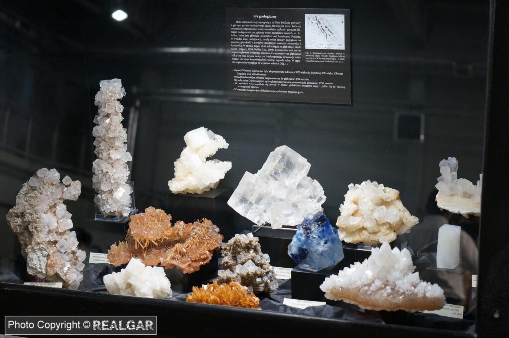 Minerały kujawskich złóż soli