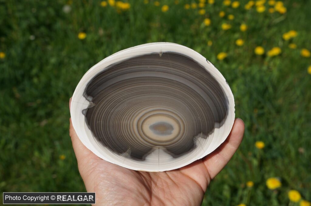 krzemień śródborze