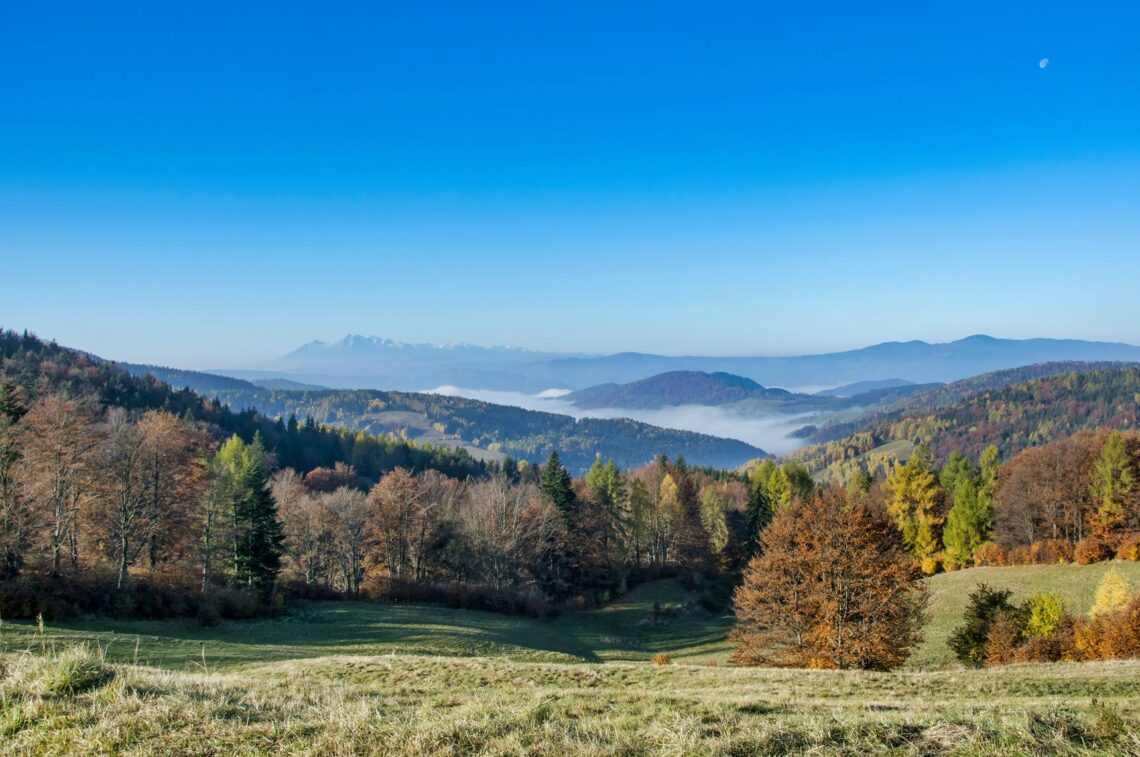 beskid sądecki wody mineralne