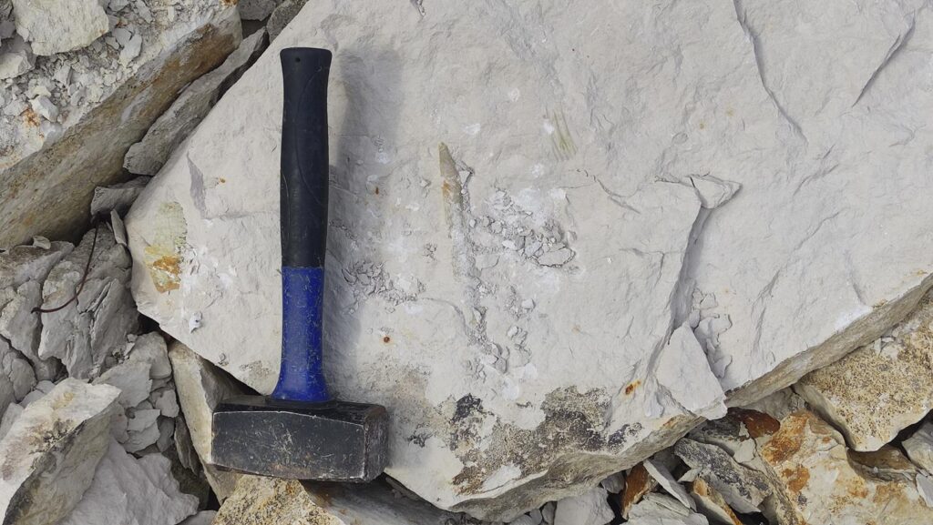 Warsztaty geologiczne Mirów