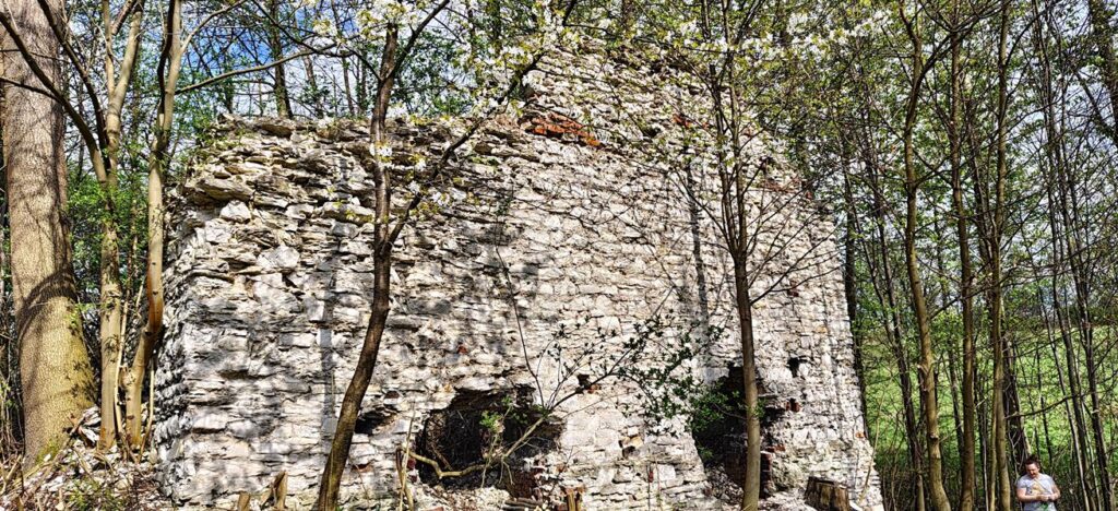 Warsztaty geologiczne Mirów