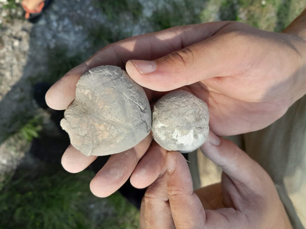 Warsztaty geologiczne w Mydlnikach