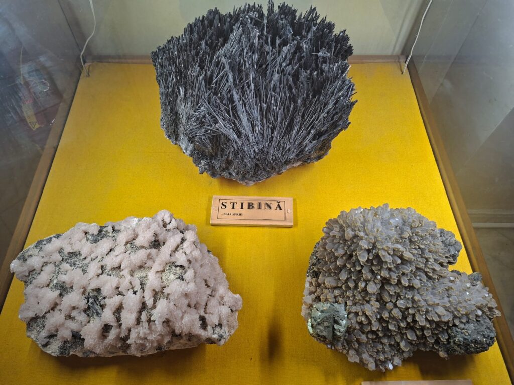 Muzeul Geologic Național bucuresti