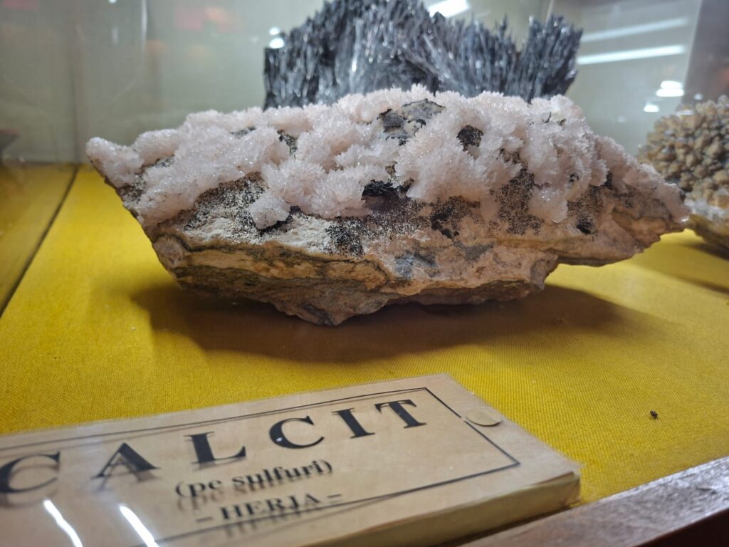 Muzeul Geologic Național bucuresti