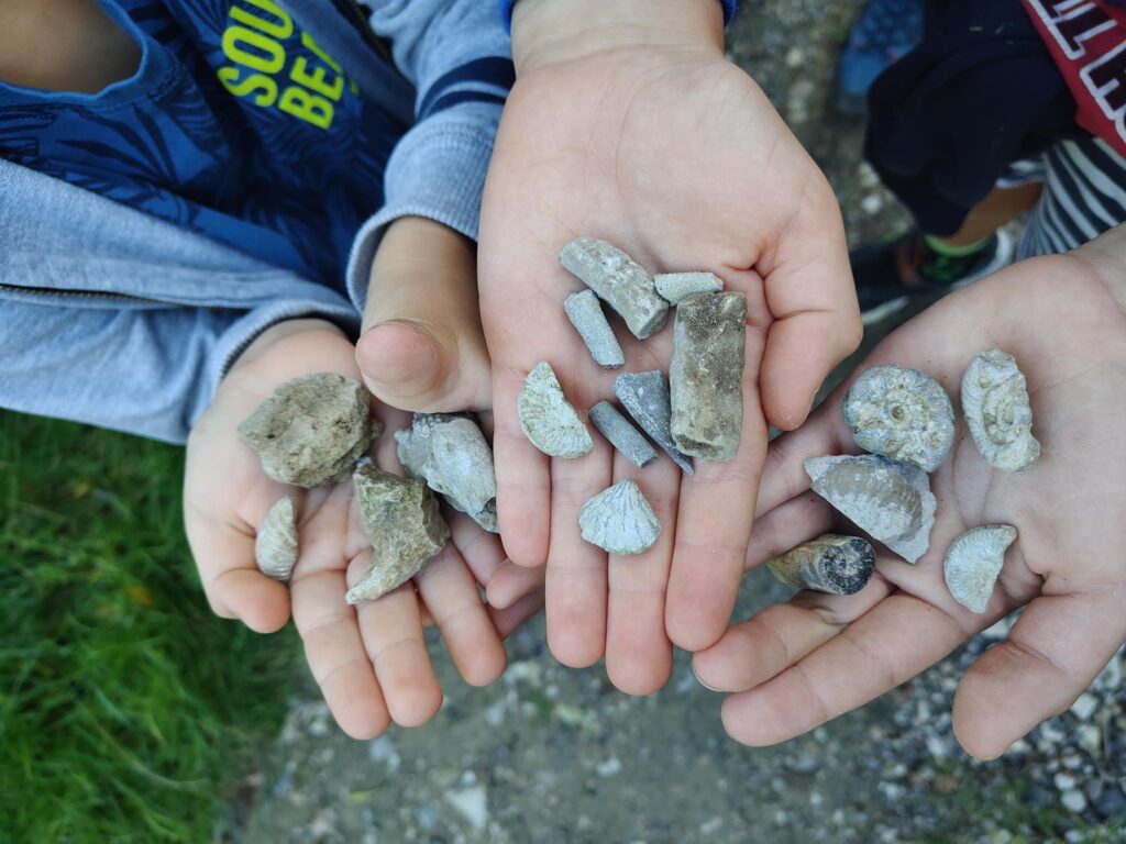 Warsztaty geologiczne w Zalasie "Paleontologiczne eldorado w Zalasie"