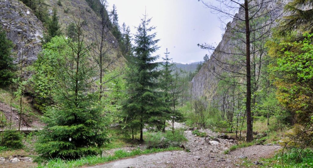 Pieniński Pas Skałkowy Geologiczne osobliwości Pienin