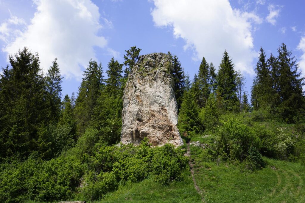 skałka gęśle