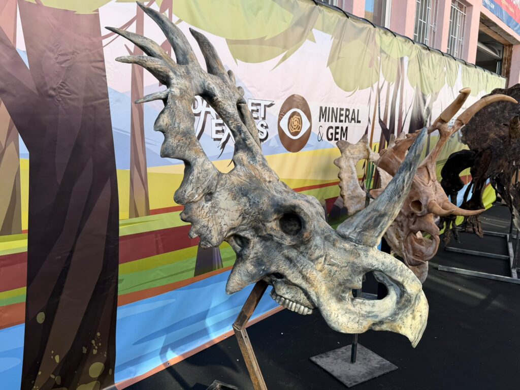 ceratopia