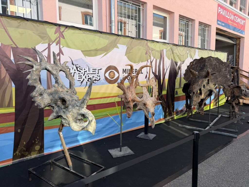 ceratopia