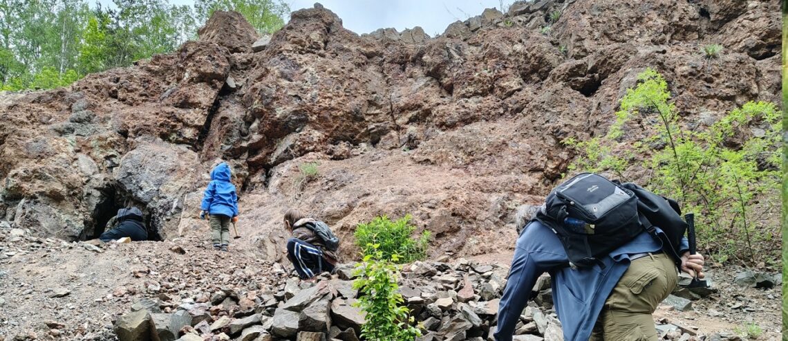 warsztaty geologiczne regulice