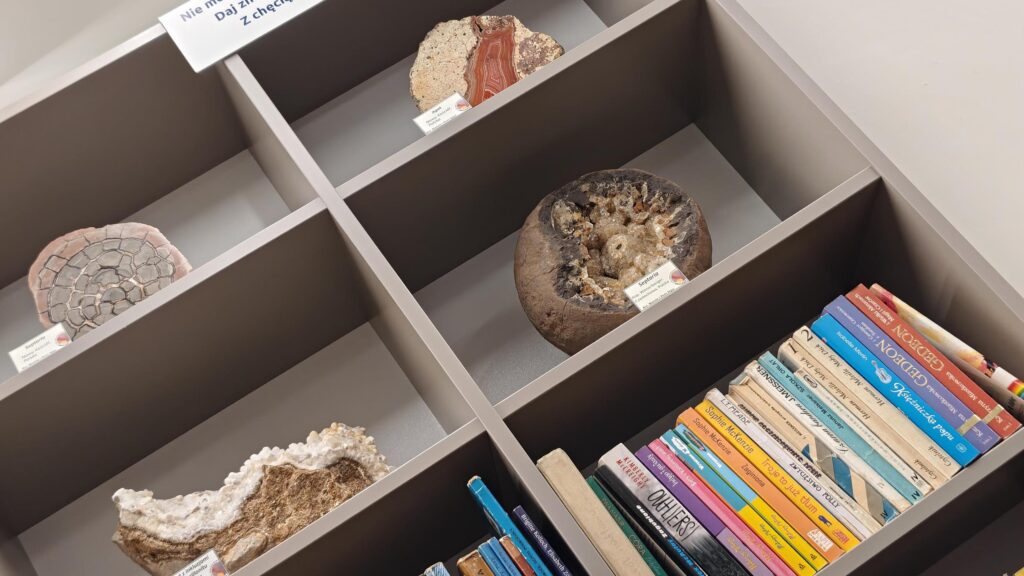 Wystawa minerałów w bibliotece 55