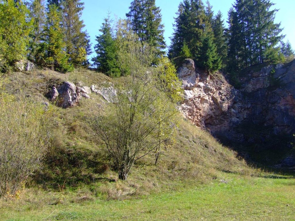 Skałka Rogoźnicka