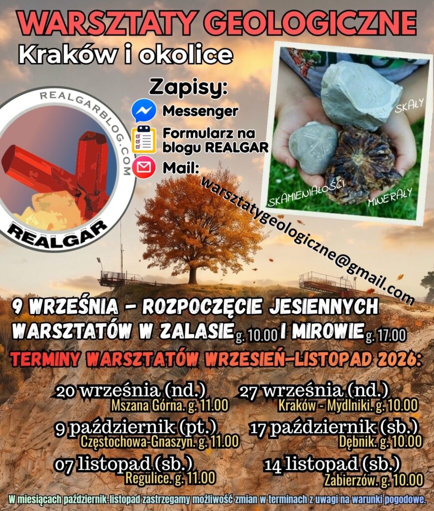 kiedy warsztaty geologiczne